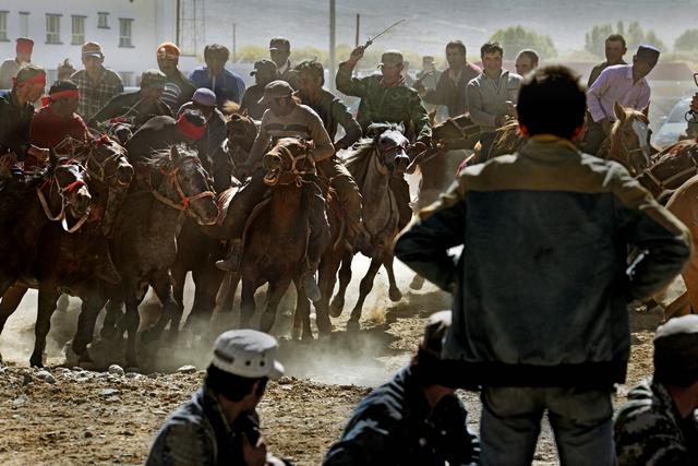 用马字组词有什么，马字组词还有什么（拍马“留序”摄影浅谈）