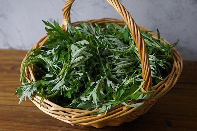 煮艾草放碱还是小苏打，煮艾草放碱还是小苏打放碱好（教你三种艾草的储存方法）