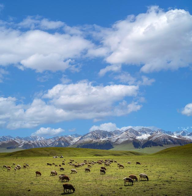 暑假适合带孩子旅游的地方有哪些？推荐8个凉爽的景点