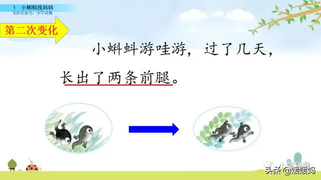 哇的拼音，哇的拼音（哇念啥）（部编版二年级语文上册第1课《小蝌蚪找妈妈》课件及同步练习）