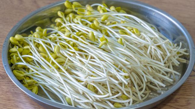 怎样在家发豆芽，怎样在家发绿豆豆芽（想吃豆芽不用买）