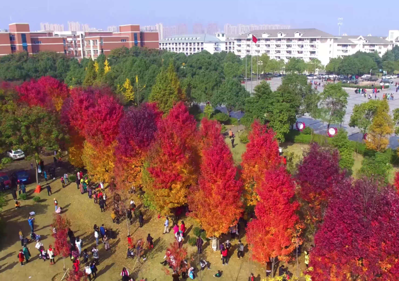 网红学校（最具知名度的3所）