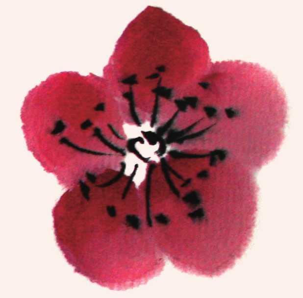 简单国画梅花，怎么样用圈点结合画法画梅花