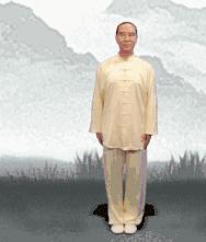 练混元桩能否同时练八段锦，两者是互补还是排斥，为什么？