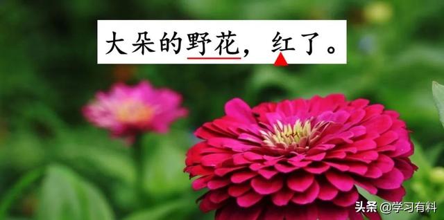 和拼音多音字组词，和拼音组词（统编语文二年级下册第8课《彩色的梦》图文解读+知识点+同步练习）