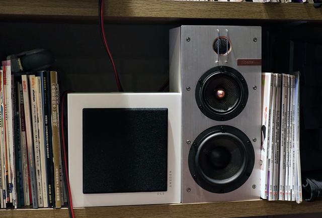 dls是什么意思，Flatmini