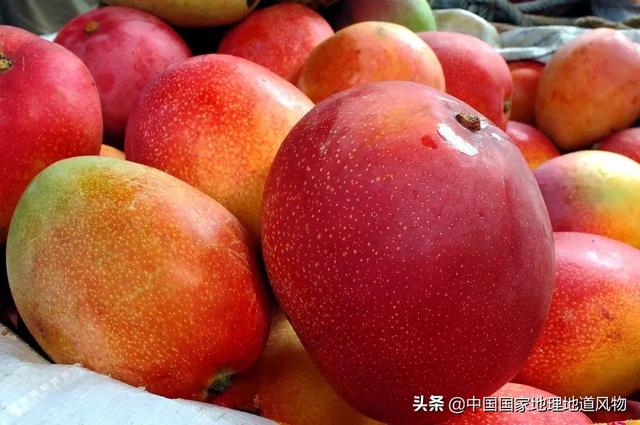 攀枝花是哪个省的城市，西部区（“四川特区”攀枝花）