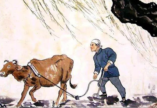 今年是几龙治水，2022年是几龙治水（2021年是\