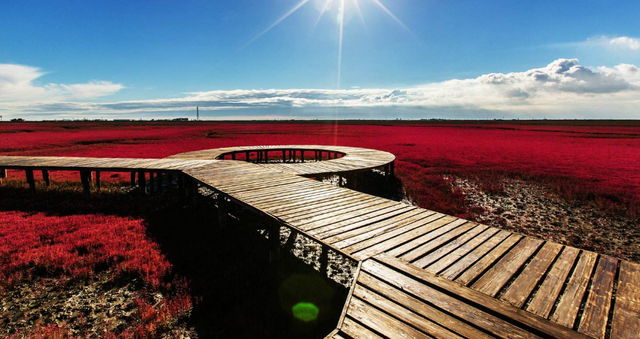 辽宁盘锦必吃美食，盘锦特色美食一条街（辽宁省盘锦市的3大特产美食）