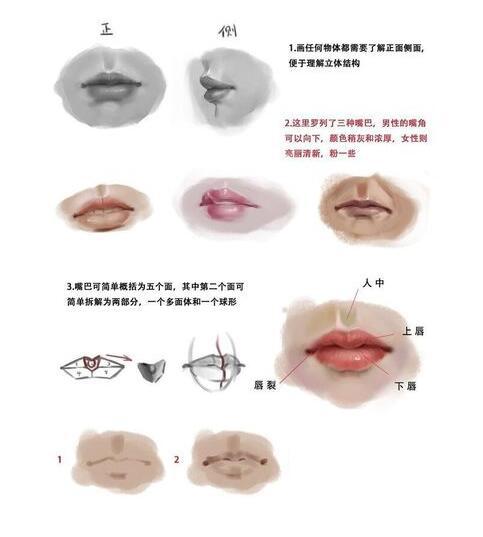 五官有哪些，人的五官准确是哪五官（动漫人物五官的详细画法）