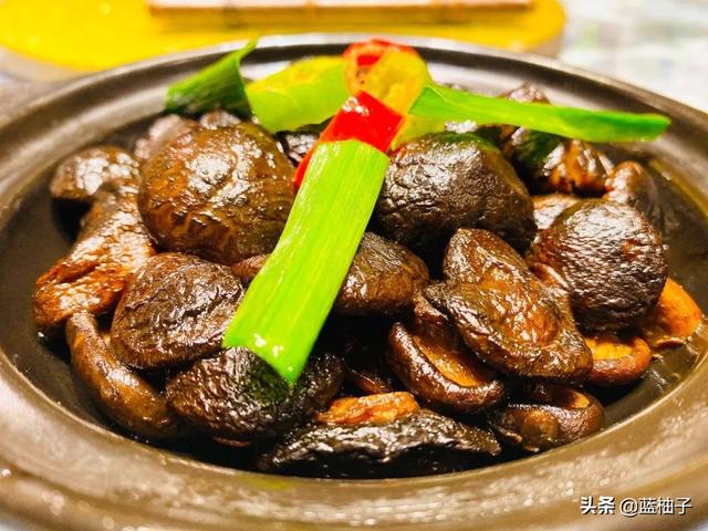 书香世家酒店是几星级酒店，书香世家酒店怎么样（全家春节南京聚餐~精致美味大餐）