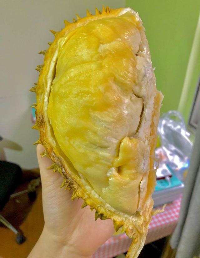 8斤榴莲出几斤肉,几斤榴莲出一斤榴莲肉(大家都在晒"最近开的榴莲")