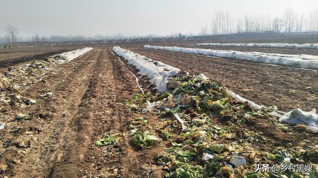 什么是三农，什么是三农企业（究竟什么是三农）