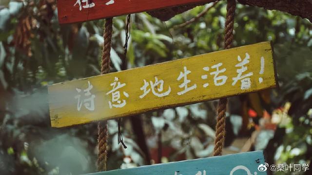 岭南水乡地理位置，岭南水乡地理位置地图（这几个广州，太好逛了！）