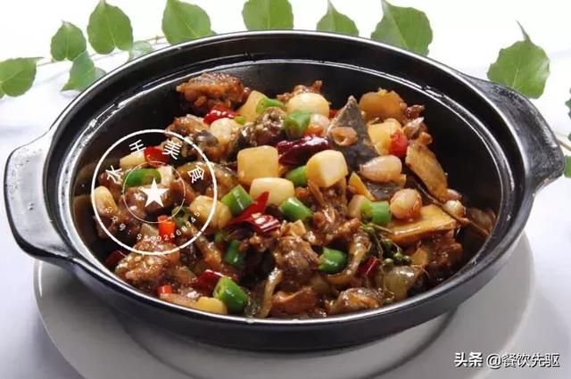 生炒甲鱼的做法，甲鱼的家常做法何大厨（做透一道食材——22款甲鱼菜）