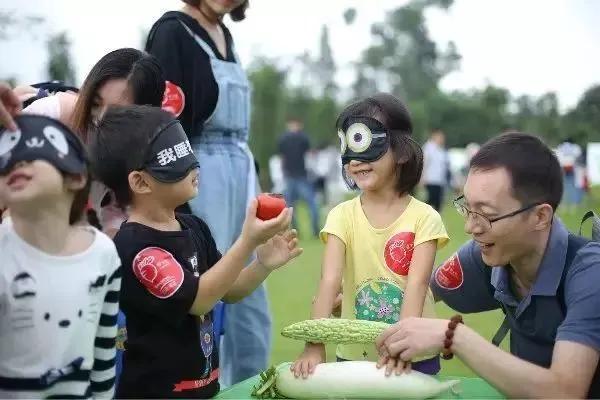 什么是感觉统合，什么叫感觉统合（被央视点名的“感统失调”正在祸害我们的孩子）