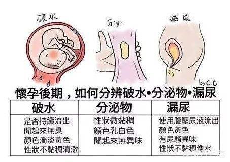 孕妇要临产前的征兆，临产才不会闹乌龙