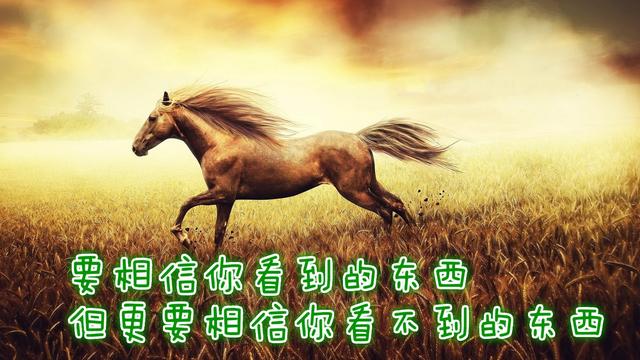 梦见梅花鹿是什么寓意，梦到梅花鹿什么意思（怎么理解：毕竟几人真得鹿）