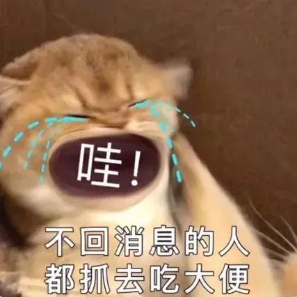 聊天必备表情包'，微信头像，聊天必备表情包'（17个抖音近期热门表情包）