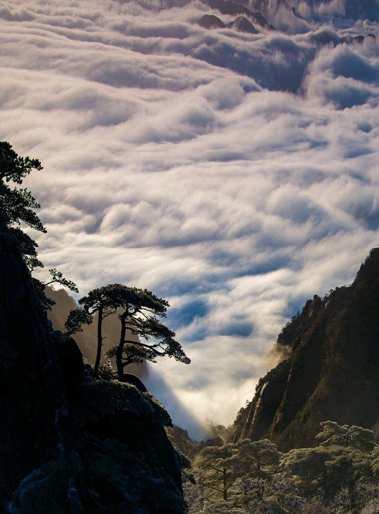 歌曲知音歌词，知音歌词（高山流水遇《知音》）