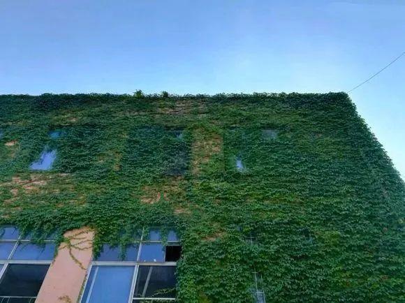 广东番禹职业技术学院，2021年广州番禺职业技术学院优势专业排名（全面了解广州番禺职业技术学院）