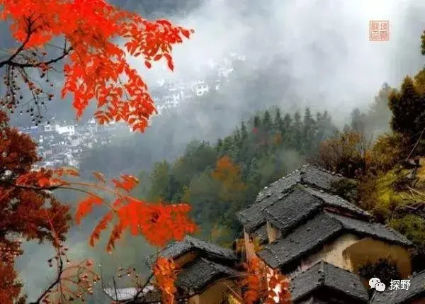 安徽月亮湾自驾游攻略，安徽月亮湾风景区（安徽这5条安徽自驾游经典线路必须去）