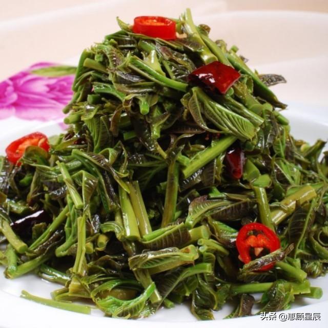 香椿子怎么吃，香椿子怎么吃降血压（样样简单一咬满口香）