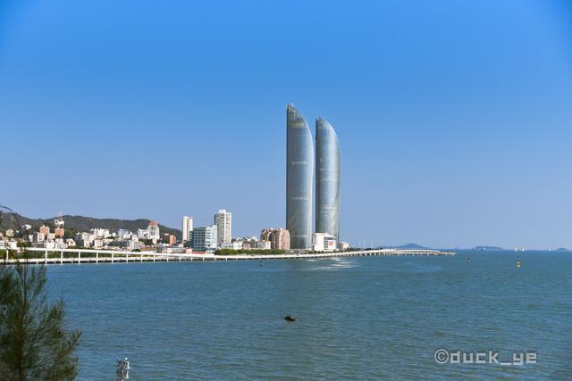 厦门鼓浪屿一日游，厦门鼓浪屿1天游攻略（当地人带你一天玩转鼓浪屿）