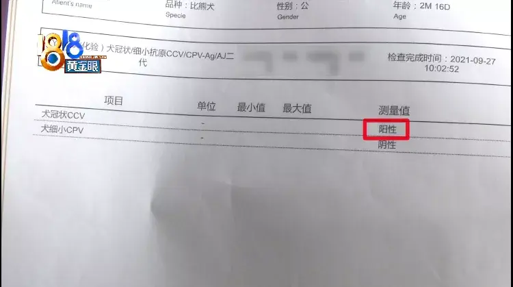 淘宝网电子狗(电子狗玩具价格及图片)