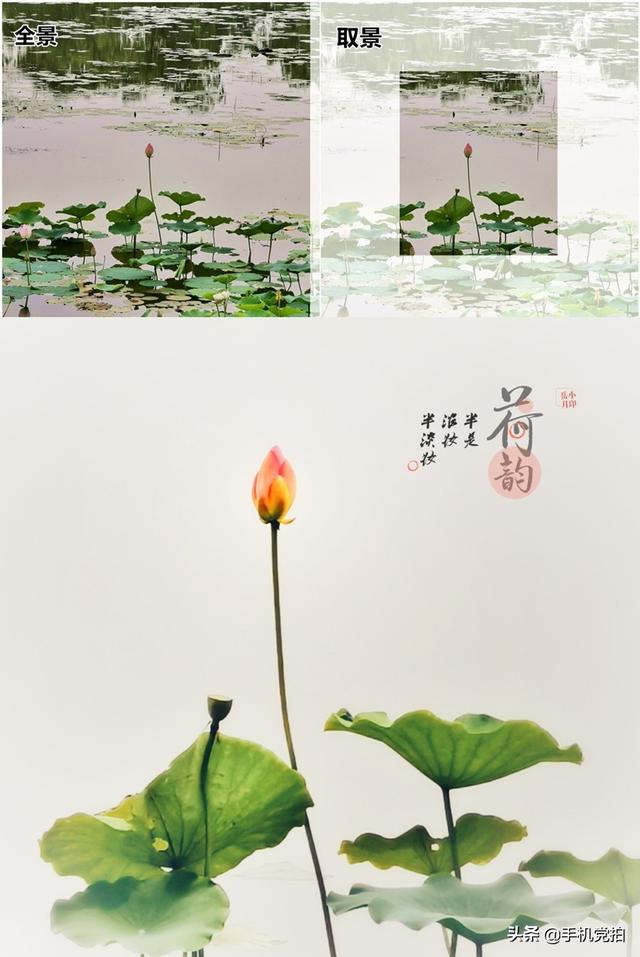 轻烟老树寒鸦什么意思，轻烟老树寒鸦前面一句是什么（不妨跟着“古诗”拍拍看）