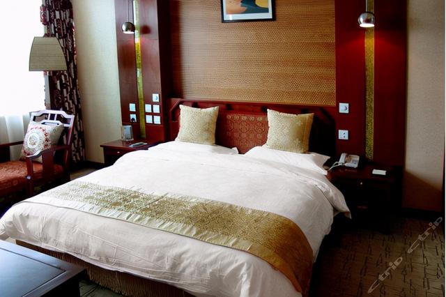 水床服务是什么，水床是什么（看完功效你也会爱上）