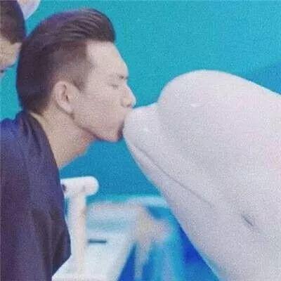 明星头像图片大全，/明星头像/李现老婆收藏微信（全网最火的...）