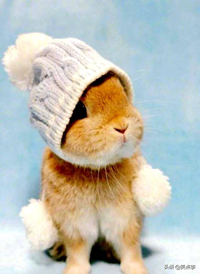 儿童搞笑故事，儿童搞笑故事书（开心一刻笑话段子推荐）