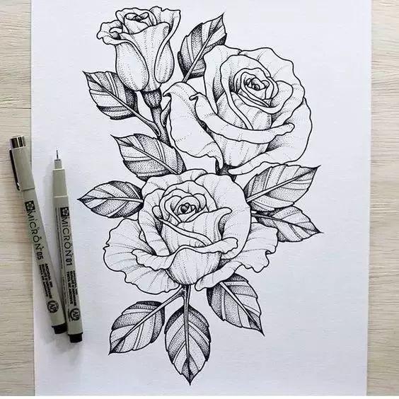 怎样用中性笔画玫瑰花好看，中性笔画花卉图片（一篇用针管笔画的植物花卉）