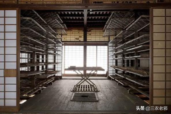 养蚕的方法和步骤，养蚕的方法（养蚕的新技术及方法）