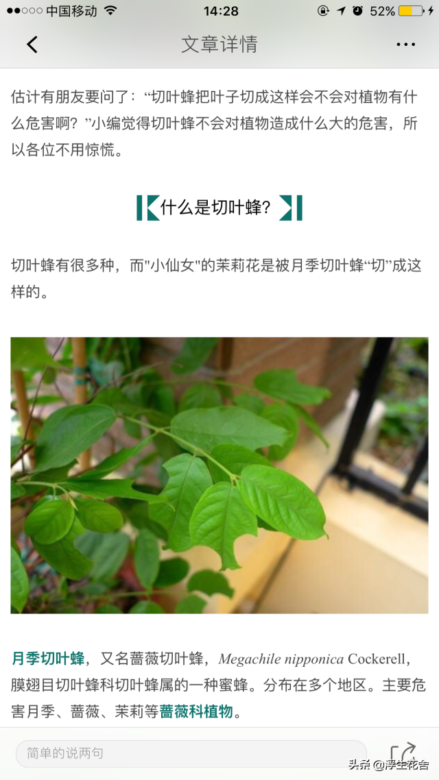 pubg怎么更新，pubg客户端如何更新（想和你重新认识一次）