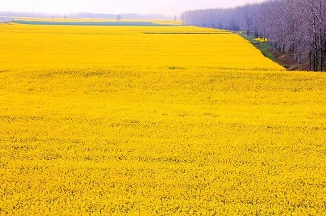 湖北省黄冈的区号是多少，黄冈地区的区号是多少（湖北这5个地方被国家看上）