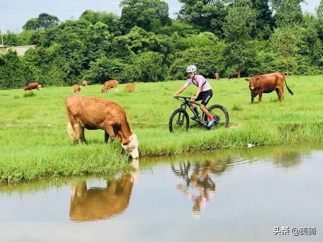 pxj（炮芯解说），梦想再大也不嫌大（炮芯解说合集）