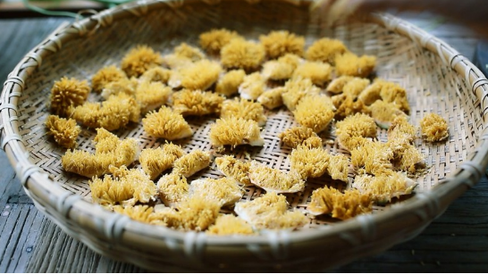500毫升的水要放多少白凉粉，500毫升的水要放多少毫升白凉粉（天然凉粉的简单做法）