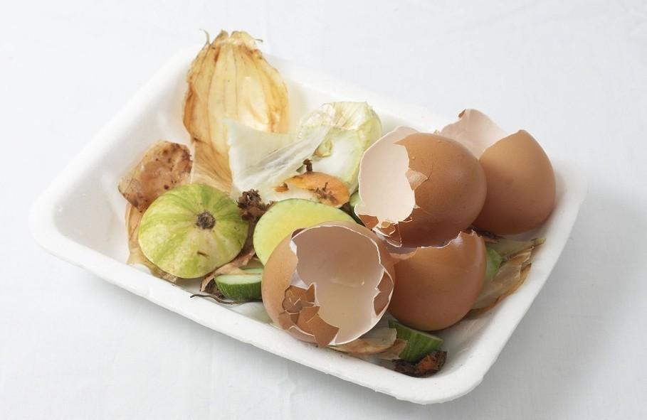 河南苗硕律师事务所（日本食品垃圾回收率达82）