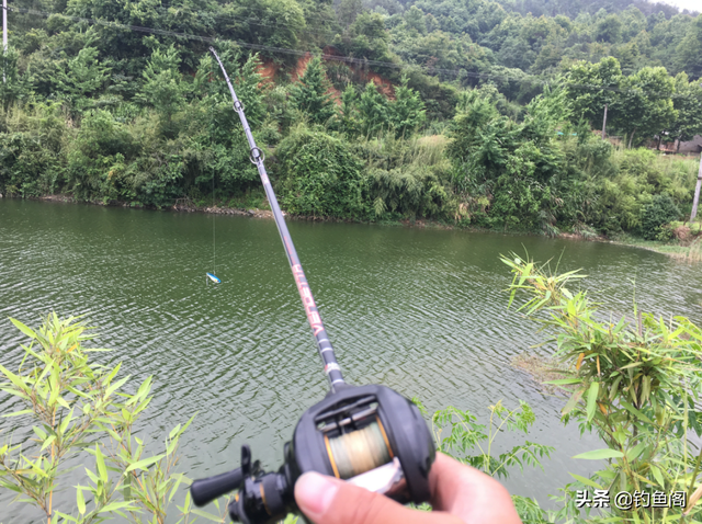 梦见钓到很多鱼，梦见钓到很多大鱼是什么兆头（你钓鱼有过什么“意外收获”）