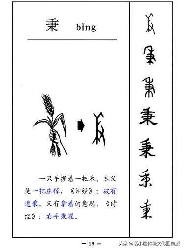 汉字字体的演变，关于汉字的字体的演变（从字源到甲骨文、金文、小篆再到楷书、行书的过程）