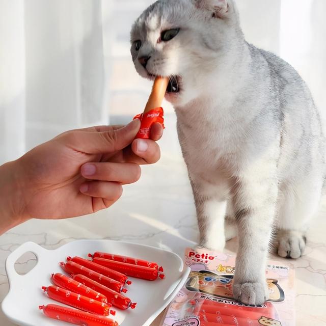 怎么养猫需要注意什么，找猫很灵的方法（饲养猫咪的5大禁忌）