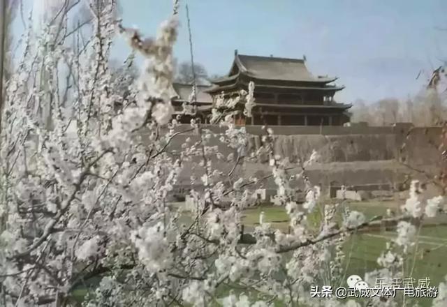 0935是哪的区号,095是哪个地方的区号(这是我2019年最新简历) 0935是哪的区号,095是哪个地方的区号(这是我2019年最新简历)