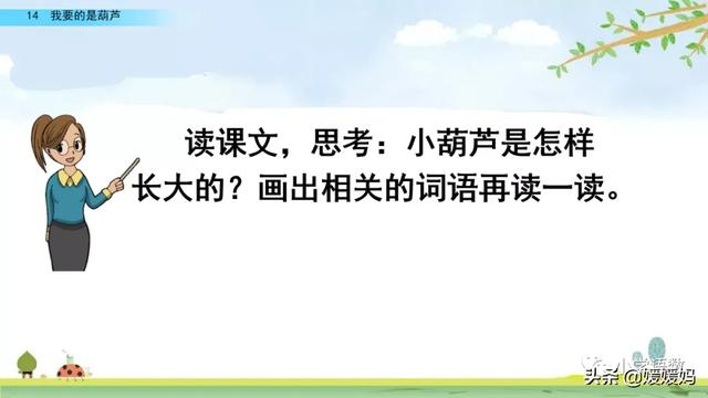 什么的枝叶填空，什么枝叶填空二年级（部编版二年级上册第14课《我要的是葫芦》课件及同步练习）