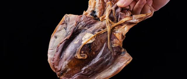 墨鱼的功效与作用，墨鱼的功效与作用及食用方法（墨鱼滋补肝肾）