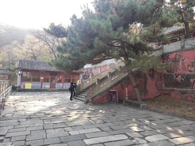 戒台寺与潭柘寺区别，戒台寺与潭柘寺区别是什么（戒台寺一日游）