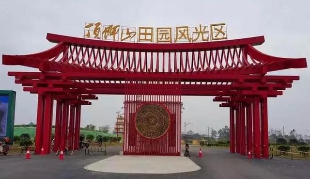 格桑花盛开的地方太漂亮了，100多亩格桑花花海美爆了