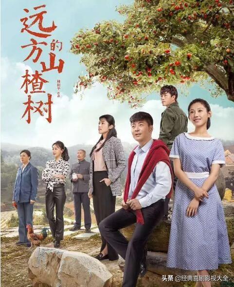 电视剧血色浪漫豆瓣评分，盘点16部“知青题材”电视剧