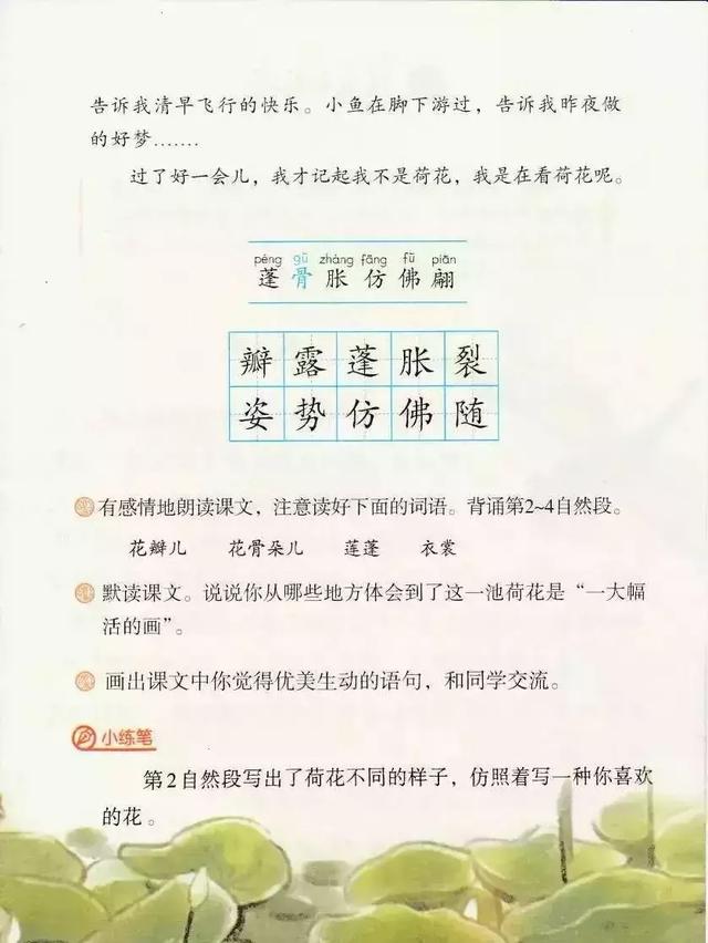 部编版荷花电子课本图片